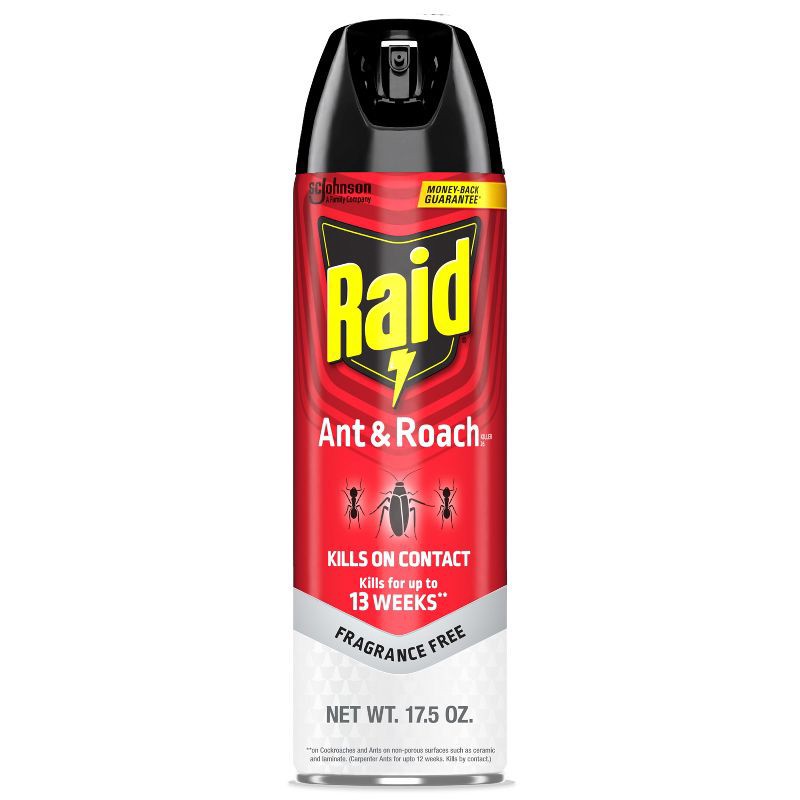 slide 1 of 13, Raid Ant & Roach Spray Bug Killer - Fragrance Free - 17.5oz: Kills Ants, Cockroaches, Silverfish, Spiders, 17.5 oz
