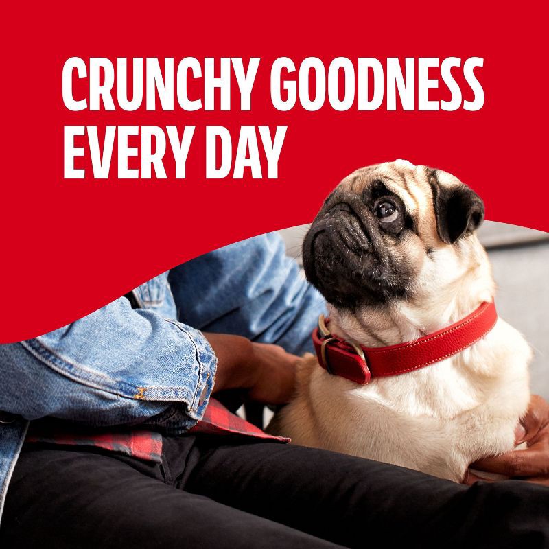 slide 2 of 9, Milk-Bone Original Mini Dry Dog Treats Biscuits Beef Flavor - 15oz, 15 oz