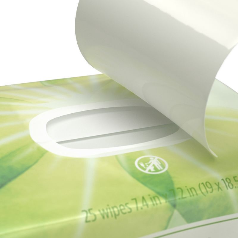 slide 6 of 9, Aveeno Positively Radiant Oil-Free Makeup Removal Facial Wipes for All Skin Types - 25 ct, 25 ct