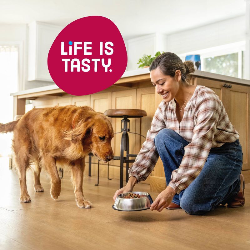 slide 6 of 10, Kibbles 'n Bits Bistro Beef, Spring Vegetable & Apple Flavors Adult Complete & Balanced Dry Dog Food - 16 lbs, 16 lb