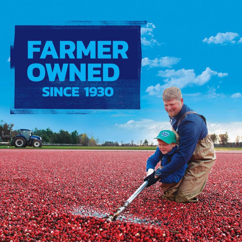 slide 7 of 15, Ocean Spray Dried Cranberries Value Pack - 24oz, 24 oz