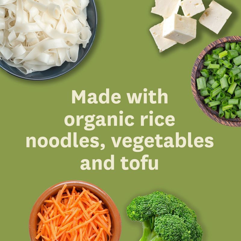 slide 6 of 11, Amy's Vegan Gluten Free Frozen Pad Thai - 9.5oz, 9.5 oz