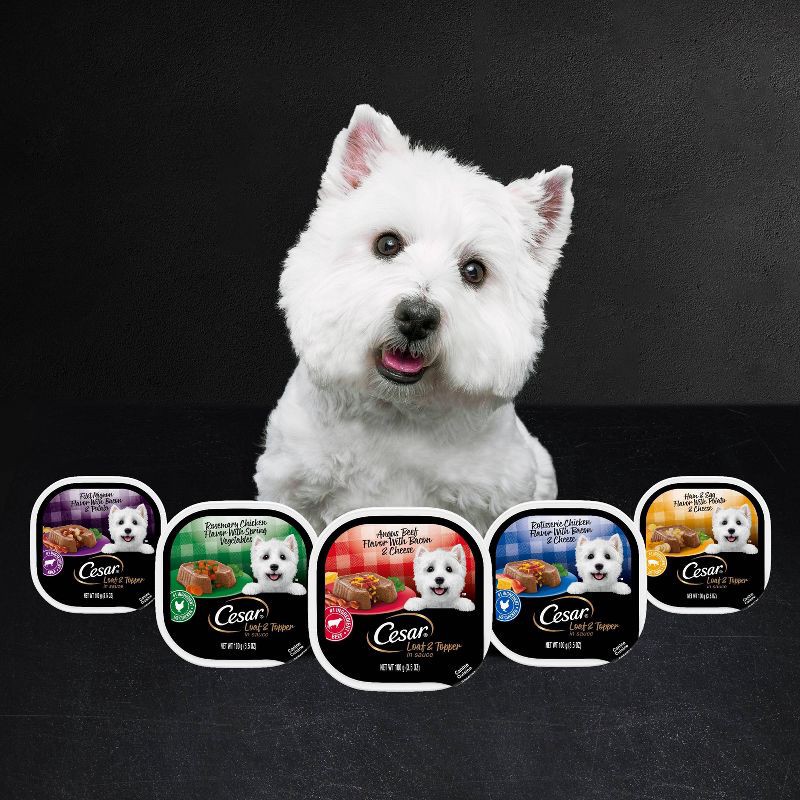 slide 12 of 12, Cesar Loaf & Topper in Sauce Rotisserie Chicken, Beef Filet Mignon and Cheese Flavor Adult Wet Dog Food - 2.64lbs/12ct Variety Pack, 2.64 lb, 12 ct
