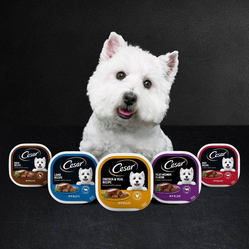 slide 10 of 10, Cesar Classic Loaf in Sauce Variety Pack with Filet Mignon and Porterhouse Flavor Small Breed Wet Dog Food - 3.5oz/12ct, 12 ct; 3.5 oz