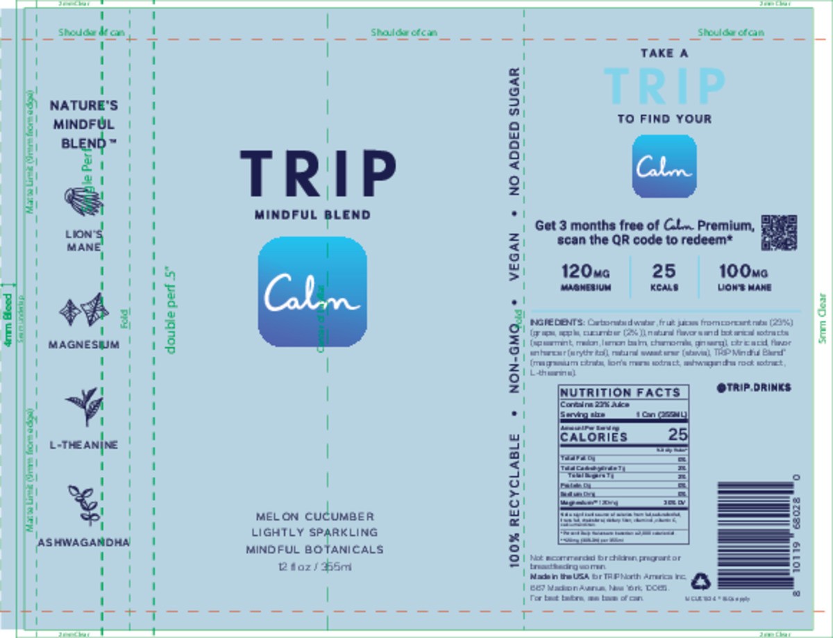 slide 9 of 9, Trip Mindful Blend Lightly Sparkling Melon Cucumber Mindful Botanicals 12 fl oz, 12 fl oz