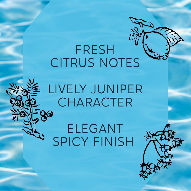 slide 5 of 7, Bombay Sapphire Gin - 750ml Bottle, 750 ml