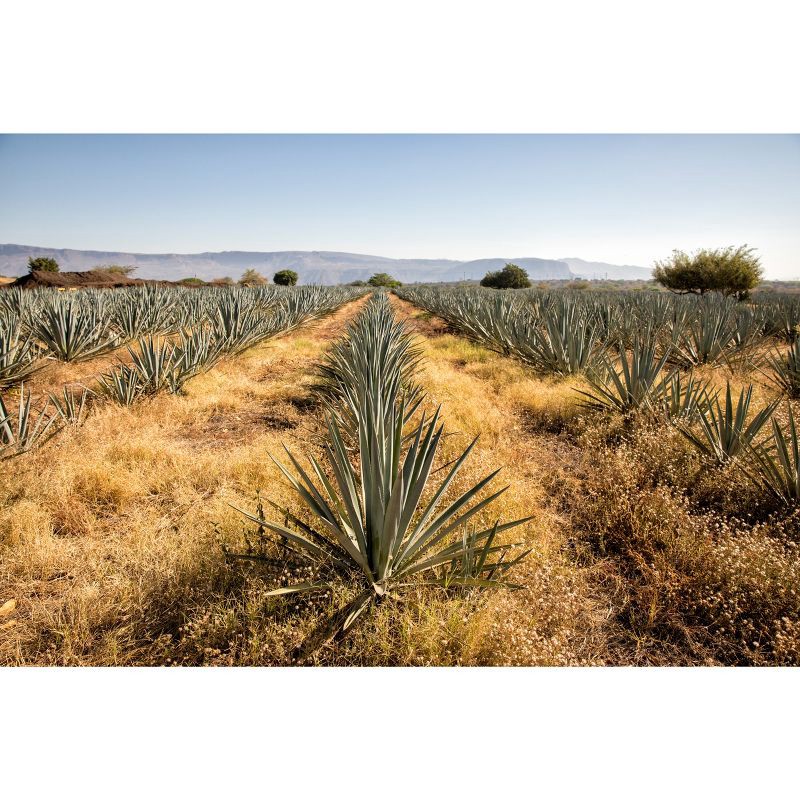 slide 2 of 11, el Jimador Tequila Reposado - 750ml Bottle, 750 ml