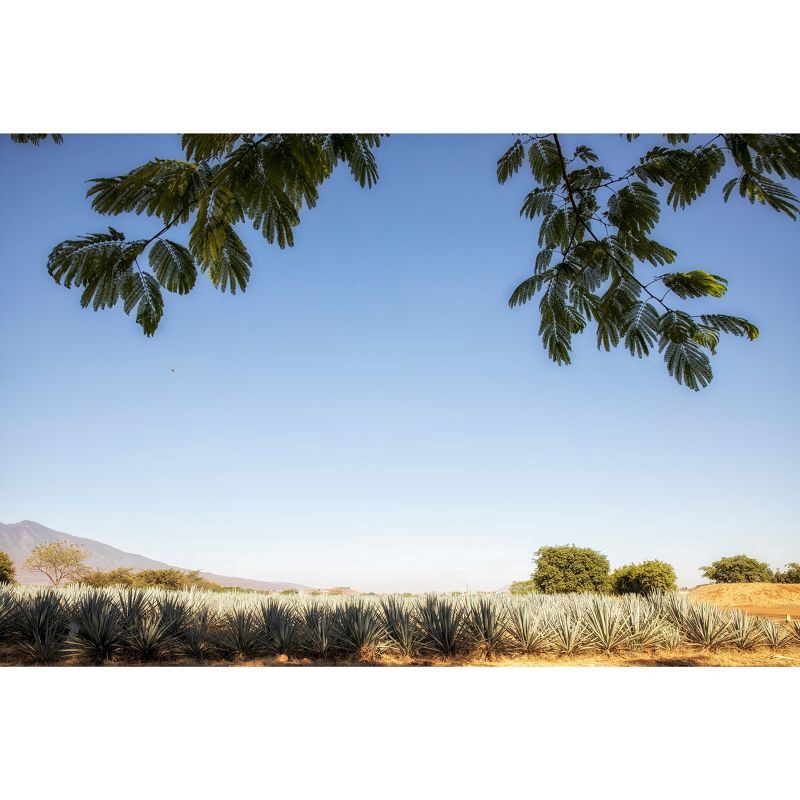 slide 3 of 11, el Jimador Tequila Reposado - 750ml Bottle, 750 ml