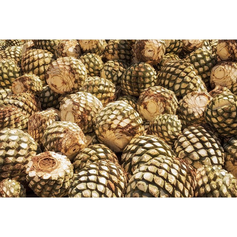 slide 4 of 11, el Jimador Tequila Reposado - 750ml Bottle, 750 ml