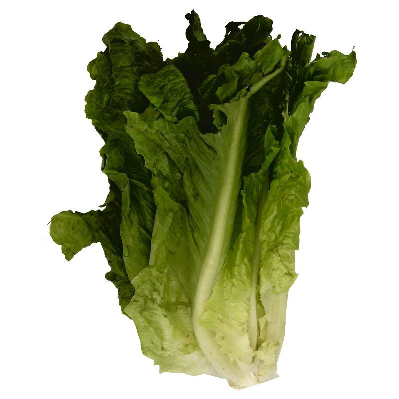 slide 1 of 5, Green Leaf Lettuce Head - each, 1 ct