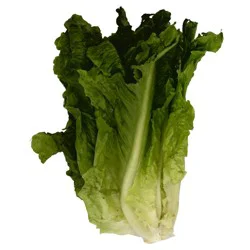 Fresh Green Leaf Lettuce Head - each