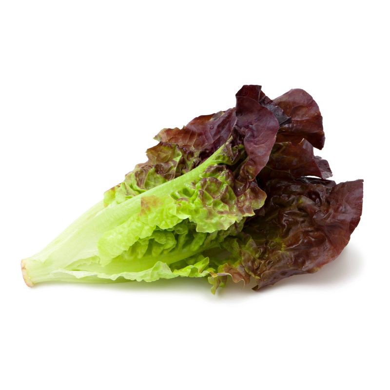 slide 1 of 4, Red Leaf Lettuce Head - each, 1 ct