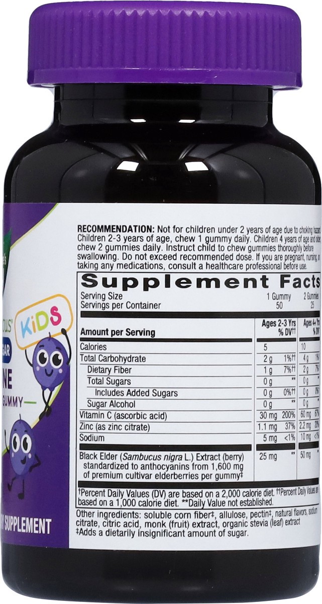 slide 6 of 15, Nature's Way Zero Sugar Ages 2+ Kids Sambucus Elderberry 50 Gummies, 50 ct