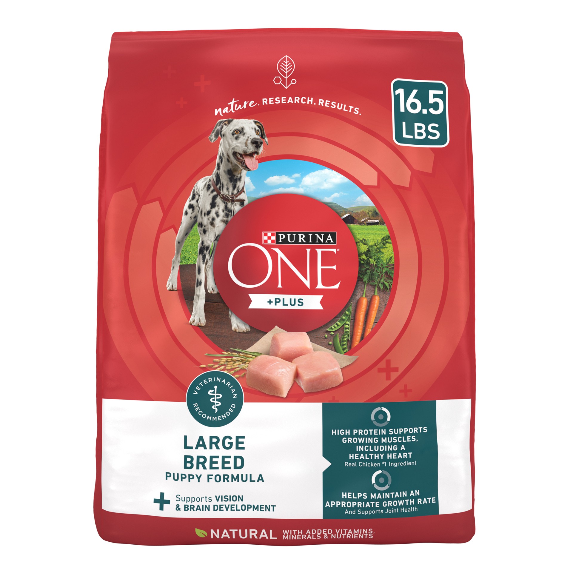 slide 1 of 9, ONE Purina ONE Plus Large Breed Puppy Food Dry Formula, 16.5 lb