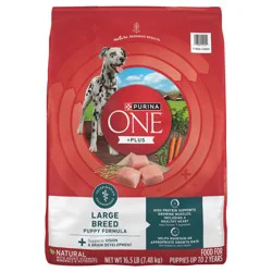Purina ONE Plus Large Breed Puppy Food Dry Formula