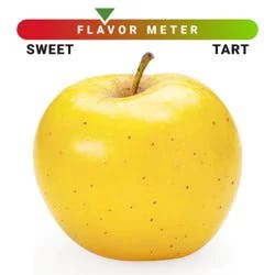 Apple Opal