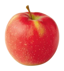 Jonagold Apples