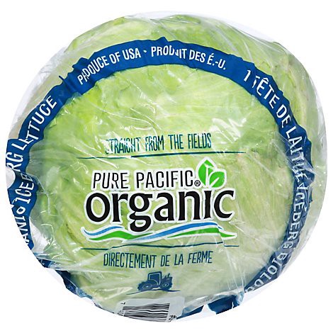 slide 1 of 1, Fresh Organic Organic Iceberg Lettuce Usa, 1 ct