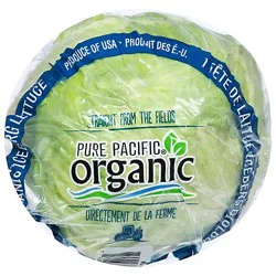 Fresh Organic Organic Iceberg Lettuce Usa