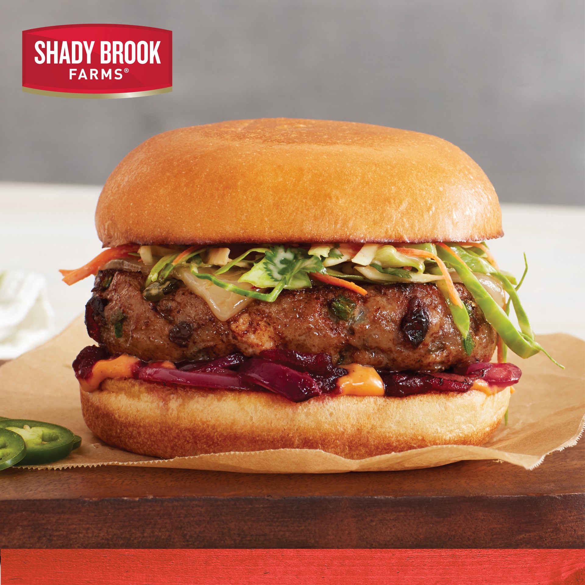 slide 5 of 9, Shady Brook Farms Cranberry & Jalapeno Burger, 17.17 oz