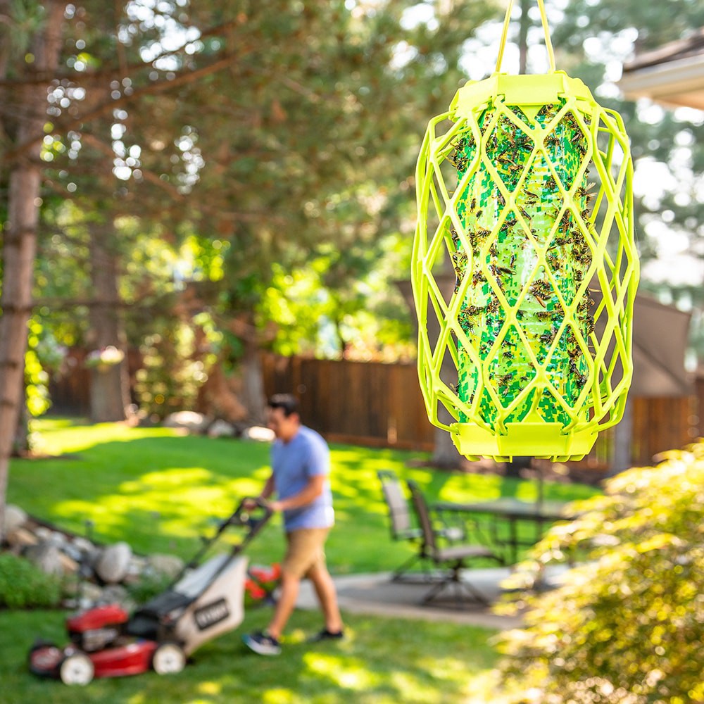 slide 4 of 5, Rescue! Trapstik Wasp Trap - Green, 1 ct