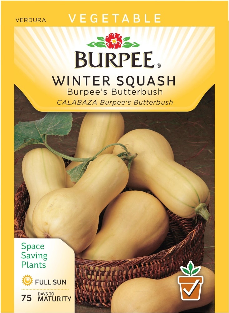 slide 1 of 1, Burpee Butterbush Winter Squash Seeds - Tan, 1 ct