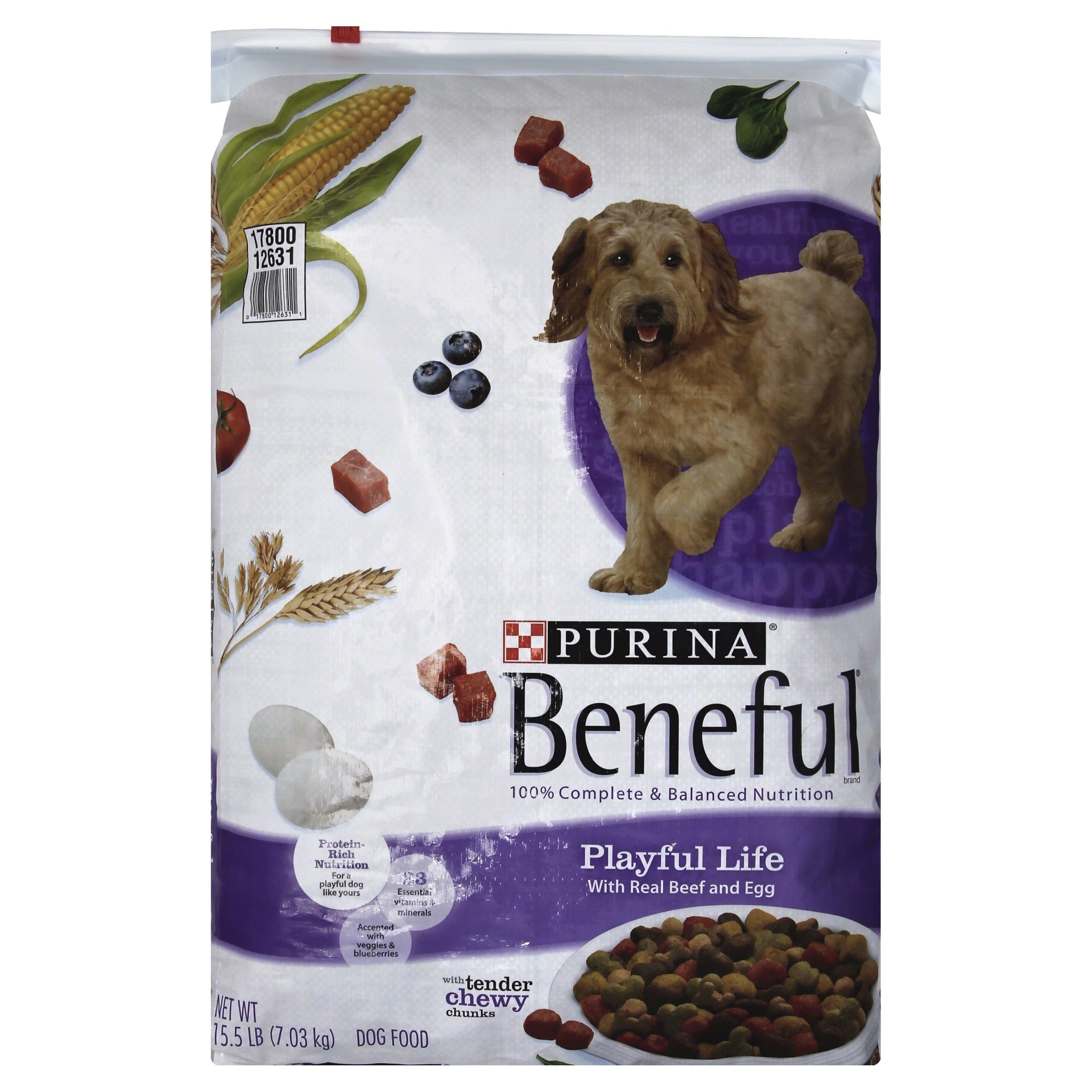 slide 1 of 9, Purina Beneful Playful Life With Real Beef & Egg Dog Food, 15.5 lb