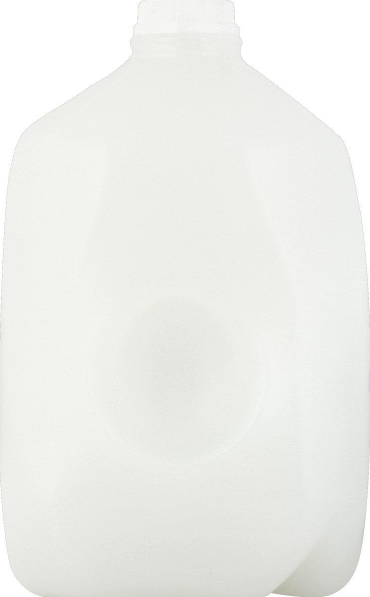 slide 2 of 5, PET Dairy Milk 1 gl, 1 gal