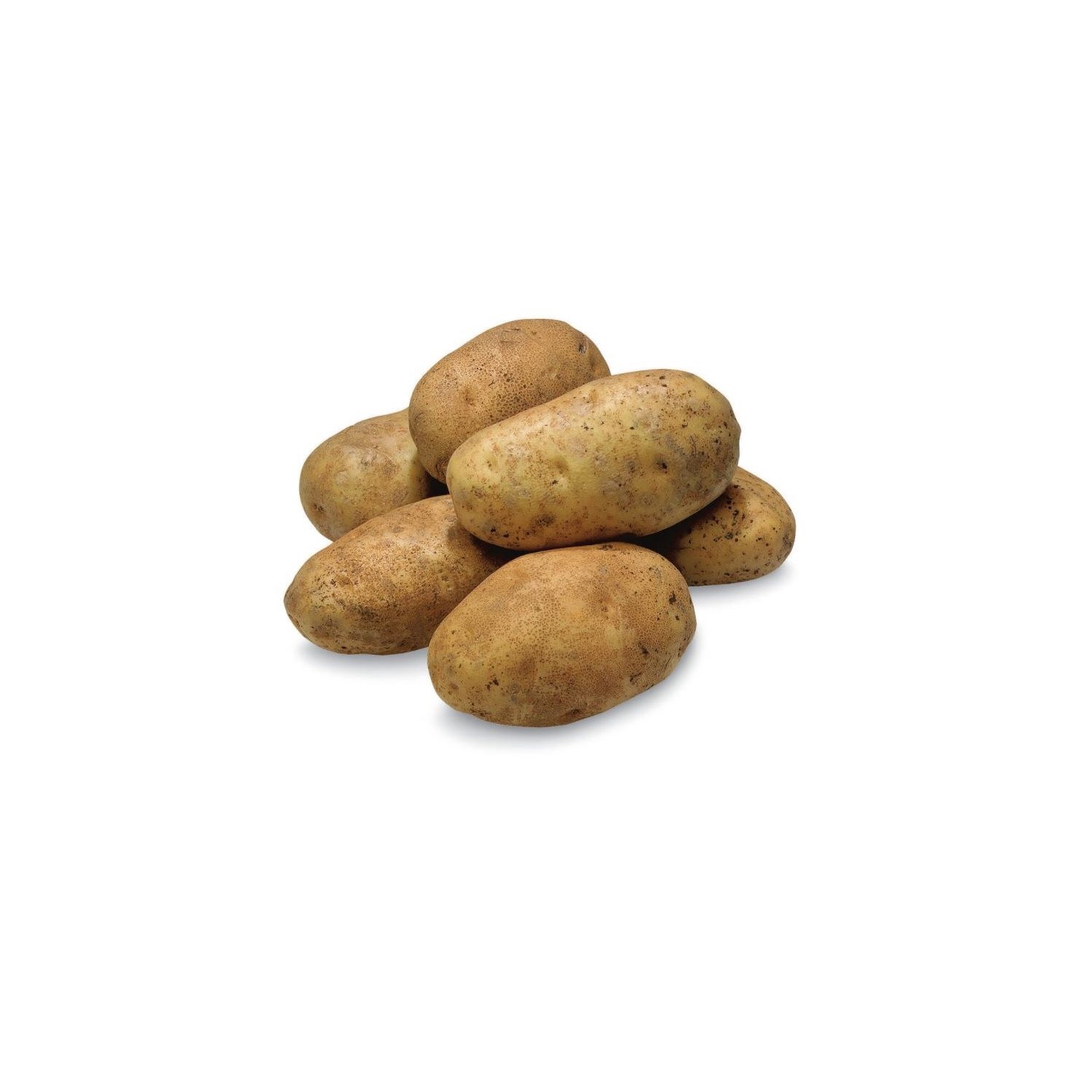 slide 1 of 1, Russet Potato, 1 ct