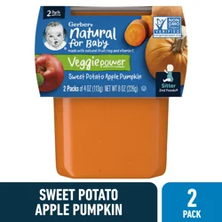 Gerber Stage 2 Baby Food, Sweet Potato Apple Pumpkin, 4 oz Tubs (2 Pack)