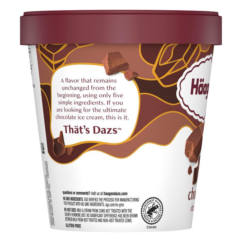 slide 7 of 15, Haagen-Dazs Chocolate Ice Cream - 14 fl oz, 14 fl oz
