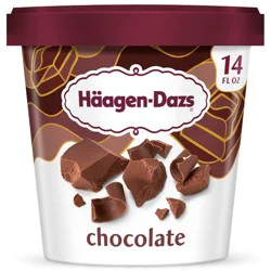 Haagen-Dazs Chocolate Ice Cream - 14 fl oz