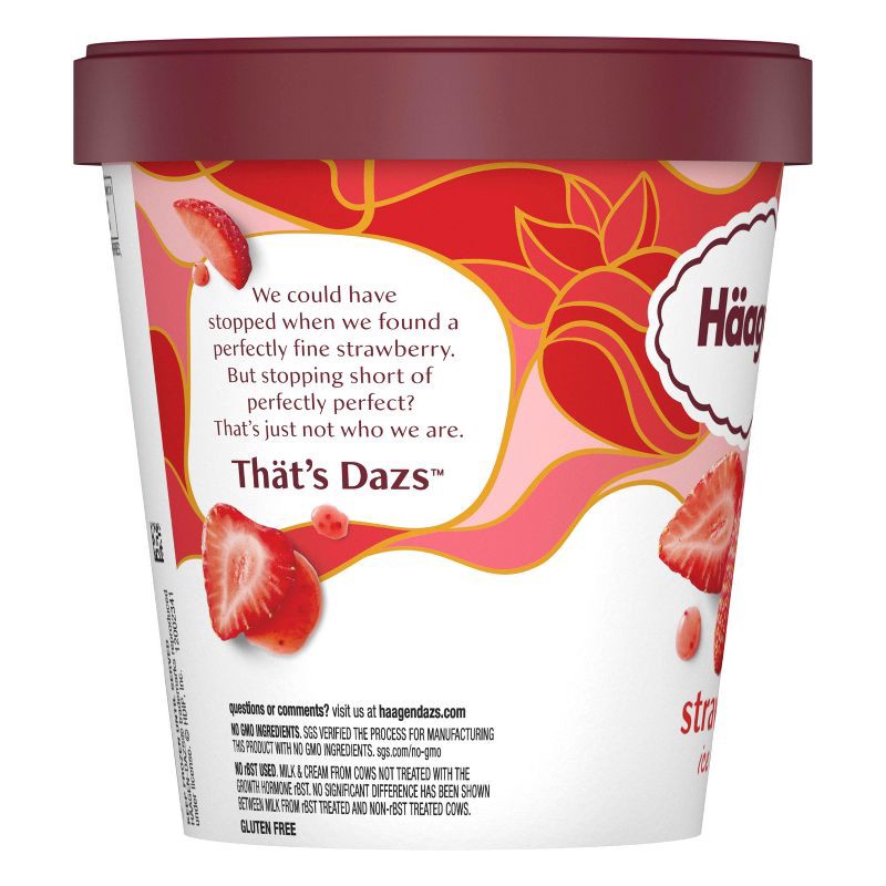 slide 7 of 15, Haagen-Dazs Strawberry Ice Cream - 14oz, 14 oz