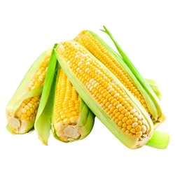 Fresh Sweet Corn - each