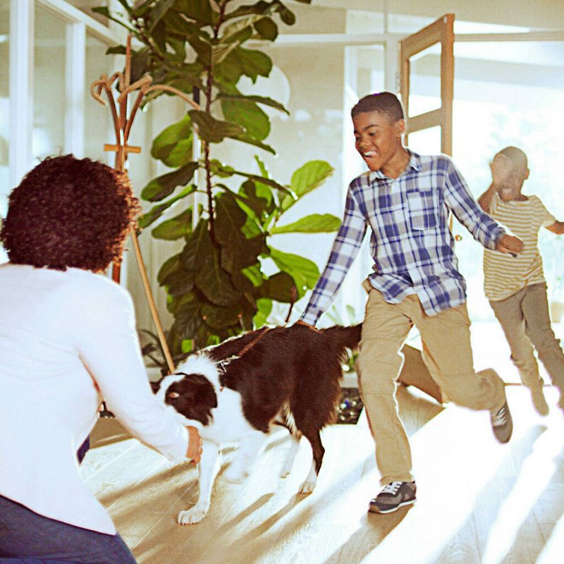 slide 11 of 13, Filtrete 20" x 25" x 4" Allergen Bacteria and Virus Air Filter 1550 MPR: MERV 12 Electrostatic for Home Furnaces, 1 ct