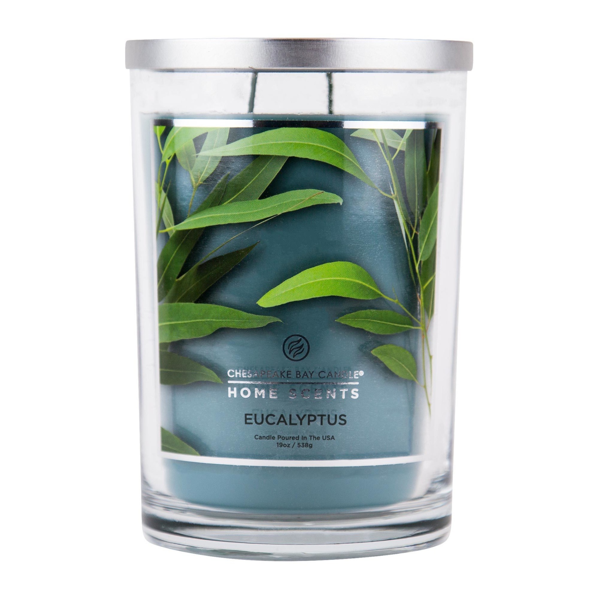 slide 1 of 1, Chesapeake Bay Candle Home Scents Eucalyptus Candle, 19 oz