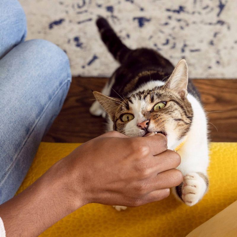 slide 7 of 11, Temptations Classic Seafood Medley Flavor Crunchy Cat Treats - 16oz, 16 oz