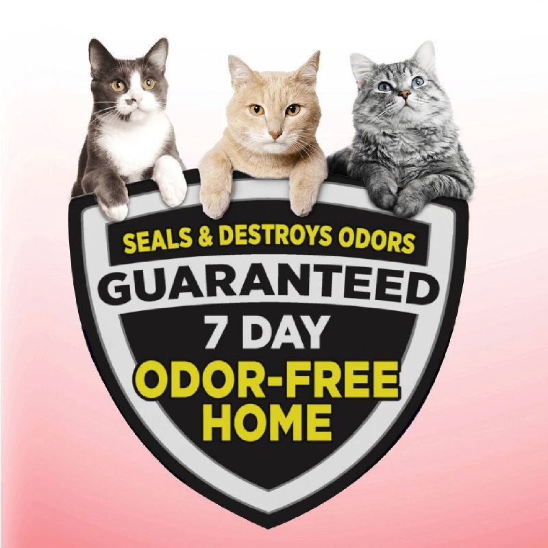 slide 3 of 10, Arm & Hammer Clump & Seal Multi-Cat Litter - 28lbs, 28 lb