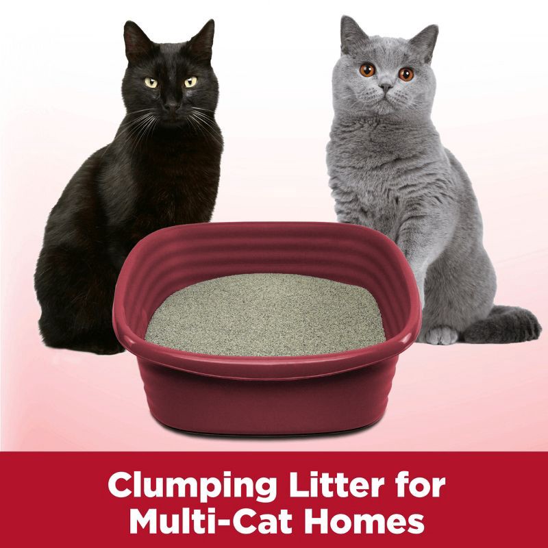 slide 5 of 10, Arm & Hammer Clump & Seal Multi-Cat Litter - 28lbs, 28 lb