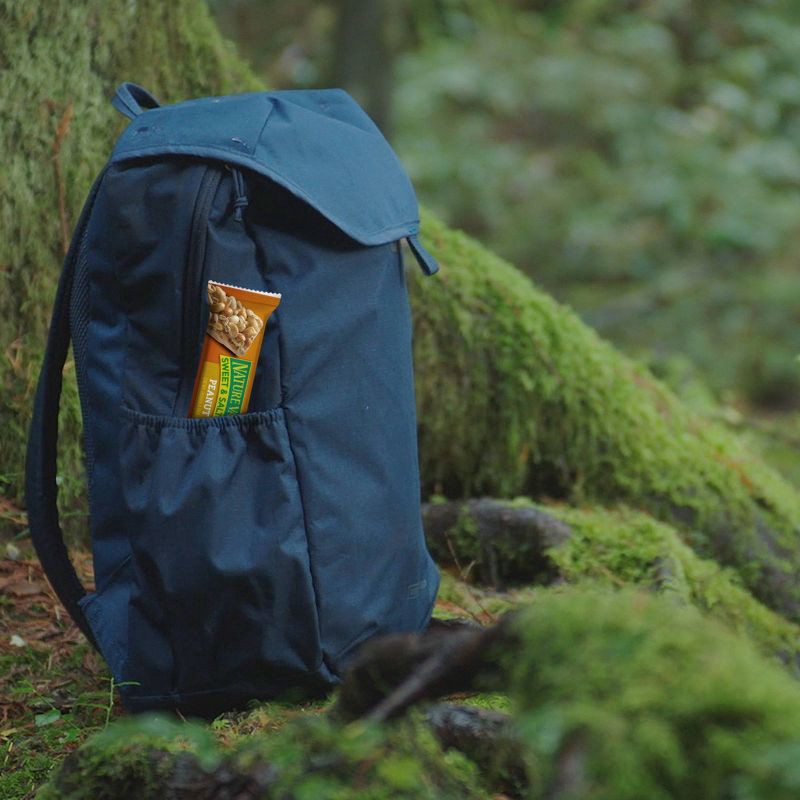 slide 13 of 13, Nature Valley Sweet & Salty Nut Peanut Granola Bars - 12ct/14.4oz, 12 ct; 14.4 oz