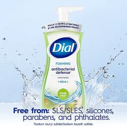 Dial Complete Fresh Pear Antibacterial Foaming Hand Wash - 7.5 Fl. Oz.