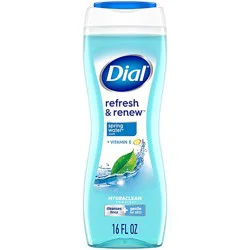 Dial Spring Water Body Wash - 16 Fl. Oz.