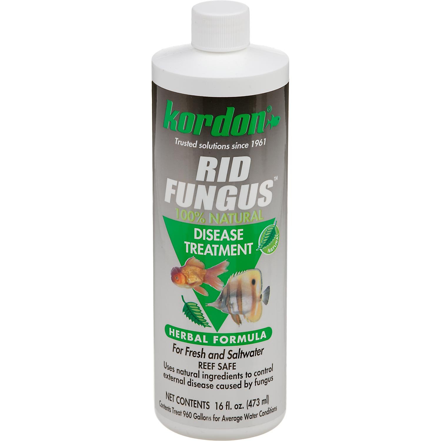 slide 1 of 1, Kordon Rid Fungus, 16 fl oz