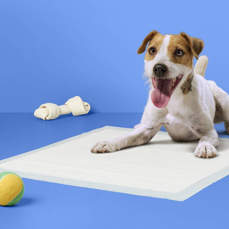 slide 2 of 4, Dog Training Pads - L - 100ct - up&up™, 100 ct