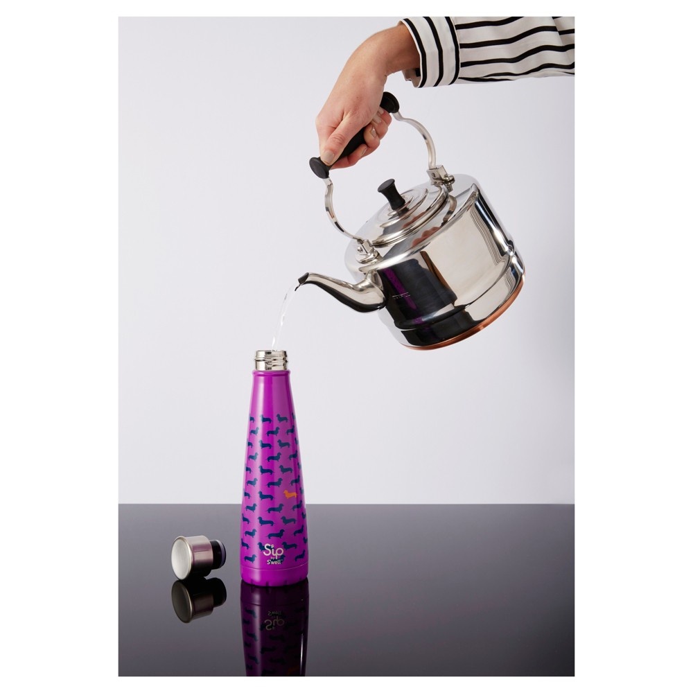 slide 2 of 6, S'Ip by S'Well Stainless Steel Insulated Water Bottle - Top Dog Purple, 15 oz