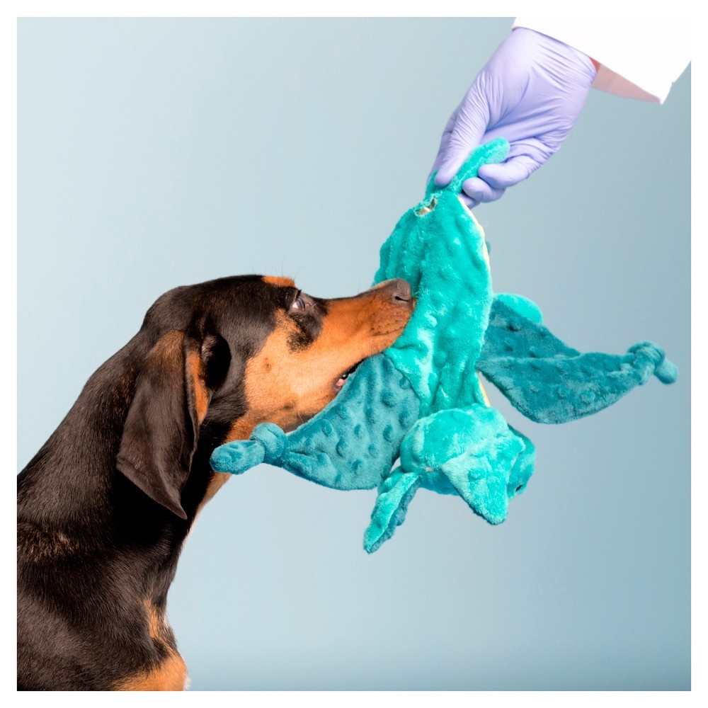 slide 6 of 7, Bark Dingbert The Dragon Cute Dog Toy - Teal, 1 ct