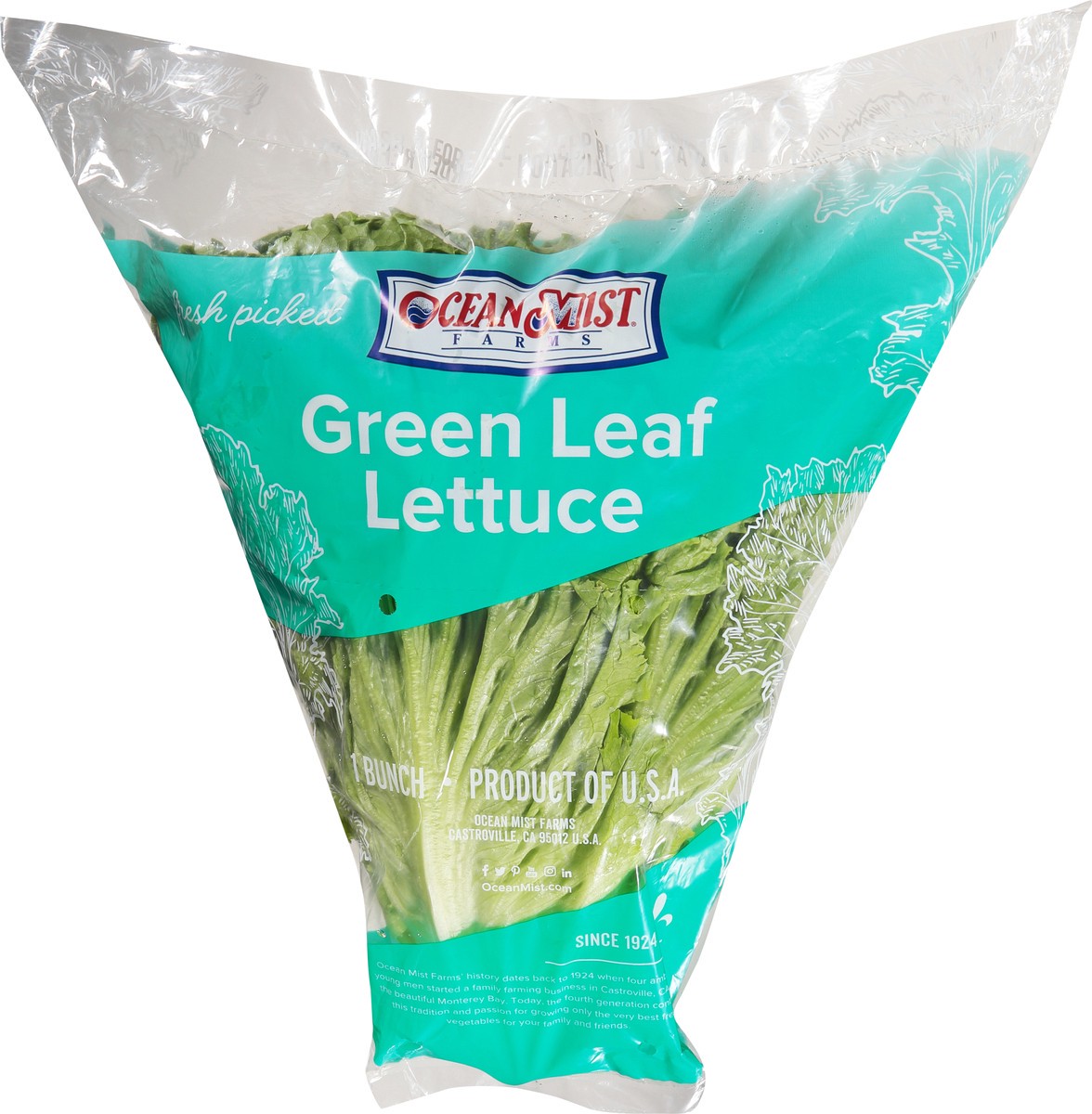 slide 1 of 1, Ocean Mist Farms Green Leaf Lettuce 1 ea, 1 ct