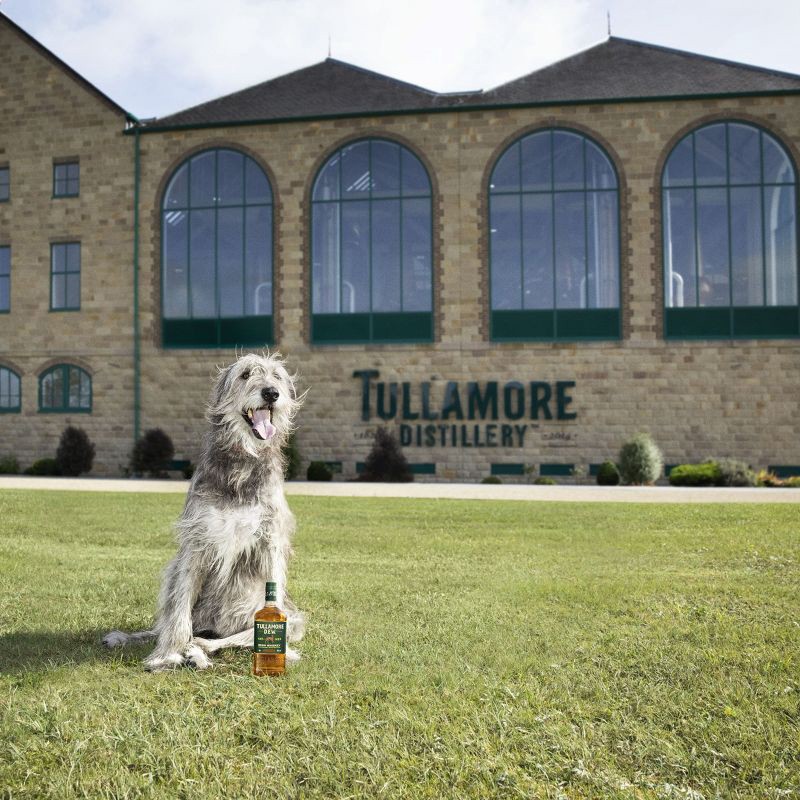 slide 5 of 10, Tullamore D.E.W. Tullamore Dew Irish Whiskey - 750ml Bottle, 750 ml