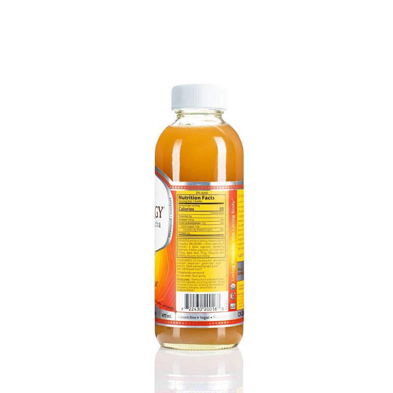 slide 2 of 14, GT's Synergy The Real Kombucha, Gingerade – 16 fl oz, 16 fl oz