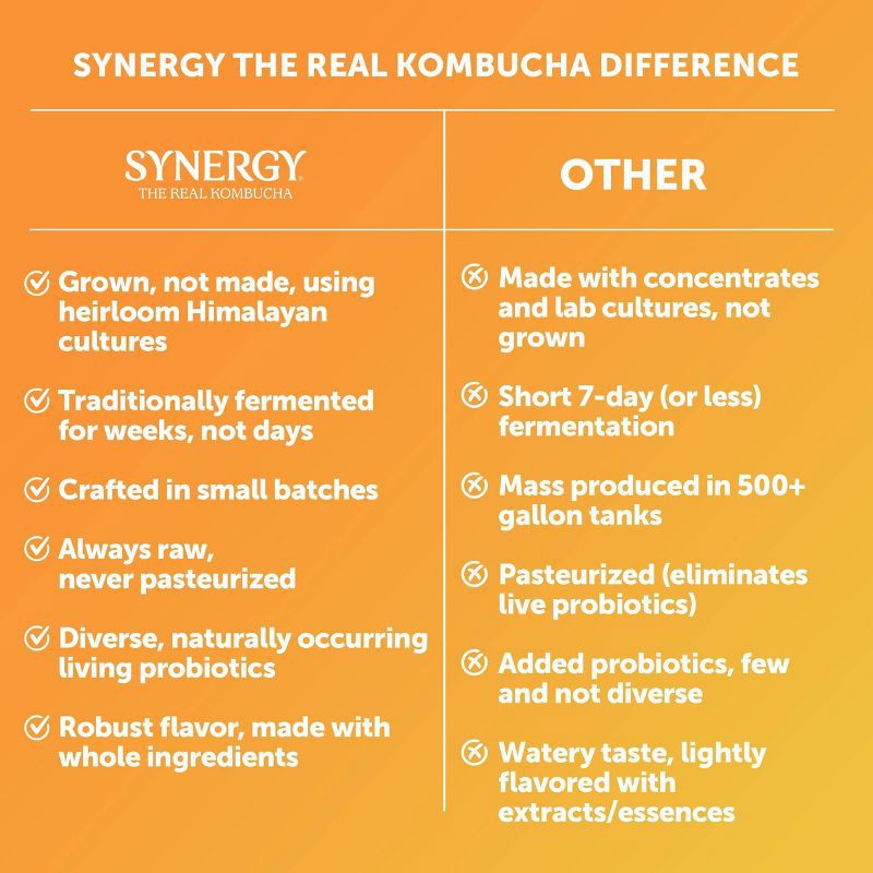 slide 3 of 14, GT's Synergy The Real Kombucha, Gingerade – 16 fl oz, 16 fl oz